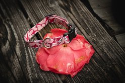 Country Brook Petz Deluxe Pink Sharks Dog Collar, Pink, Small: 11 to 13-in neck, 5/8-in wide slide 2 of 7