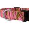 Show in main carousel: Country Brook Petz Deluxe Pink Waterfowl Camo Dog Collar, Pink, X-Small slide 7 of 7