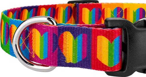 Show full view: Country Brook Petz Deluxe Rainbow Hearts Dog Collar, Multi, Small: 11 to 13-in neck, 5/18-in wide slide 7 of 7