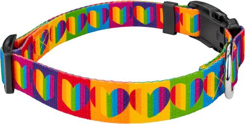 Show full view: Country Brook Petz Deluxe Rainbow Hearts Dog Collar, Multi, Small: 11 to 13-in neck, 5/18-in wide slide 6 of 7