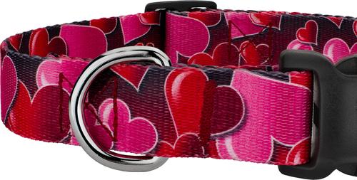 Show full view: Country Brook Petz Deluxe Romantic Hearts Dog Collar, Red, Small: 11 to 13-in neck, 5/18-in wide slide 5 of 5