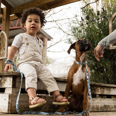 Show full view: Country Brook Petz Deluxe Sharks Dog Collar, Blue, Large: 16 to 22-in neck, 1-in wide slide 3 of 8