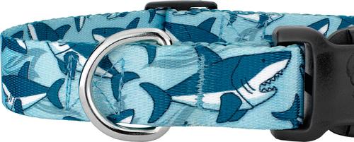 Show full view: Country Brook Petz Deluxe Sharks Dog Collar, Blue, Small: 11 to 13-in neck, 5/8-in wide slide 8 of 9