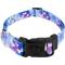 Show in main carousel: Country Brook Petz Deluxe Watercolor Butterflies Dog Collar, Blue, Large: 16 to 22-in neck, 1-in wide slide 1 of 6