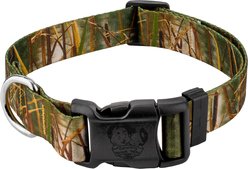 Country Brook Petz Deluxe Waterfowl Camo Dog Collar, Green, Small