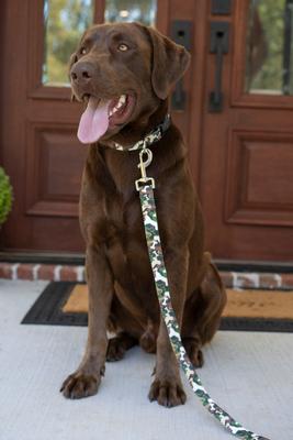 Show full view: Country Brook Petz Deluxe Woodland Bone Camo Dog Collar, Green, Medium slide 2 of 7