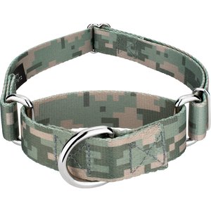 Country Brook Petz Digital Camo Martingale Dog Collar, Green, Small
