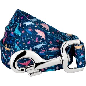 Country Brook Petz Dinosaurs Dog Leash, Blue, Large: 4-ft long, 1-in wide