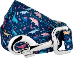 Country Brook Petz Dinosaurs Dog Leash, Blue, Large: 6-ft long, 1-in wide