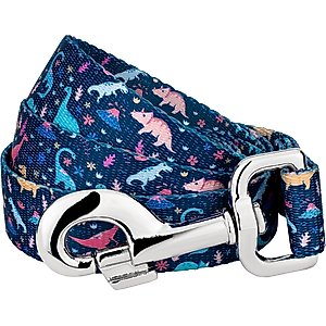 Country Brook Petz Dinosaurs Dog Leash, Blue, Large: 6-ft long, 1-in wide