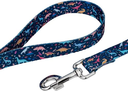 Show full view: Country Brook Petz Dinosaurs Dog Leash, Blue, Small: 4-ft long, 1/2-in wide slide 2 of 4