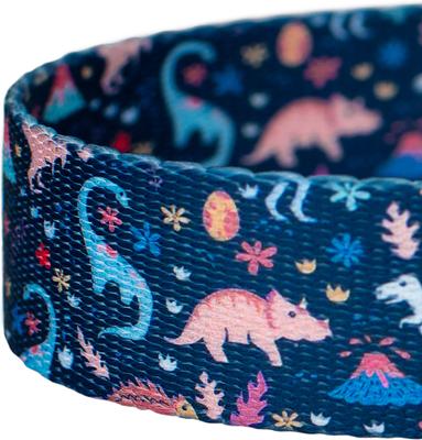 Show full view: Country Brook Petz Dinosaurs Dog Leash, Blue, Small: 4-ft long, 1/2-in wide slide 3 of 4
