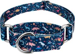 Country Brook Petz Dinosaurs Martingale Dog Collar, Blue, Large: 18 to 26-in neck, 1-in wide