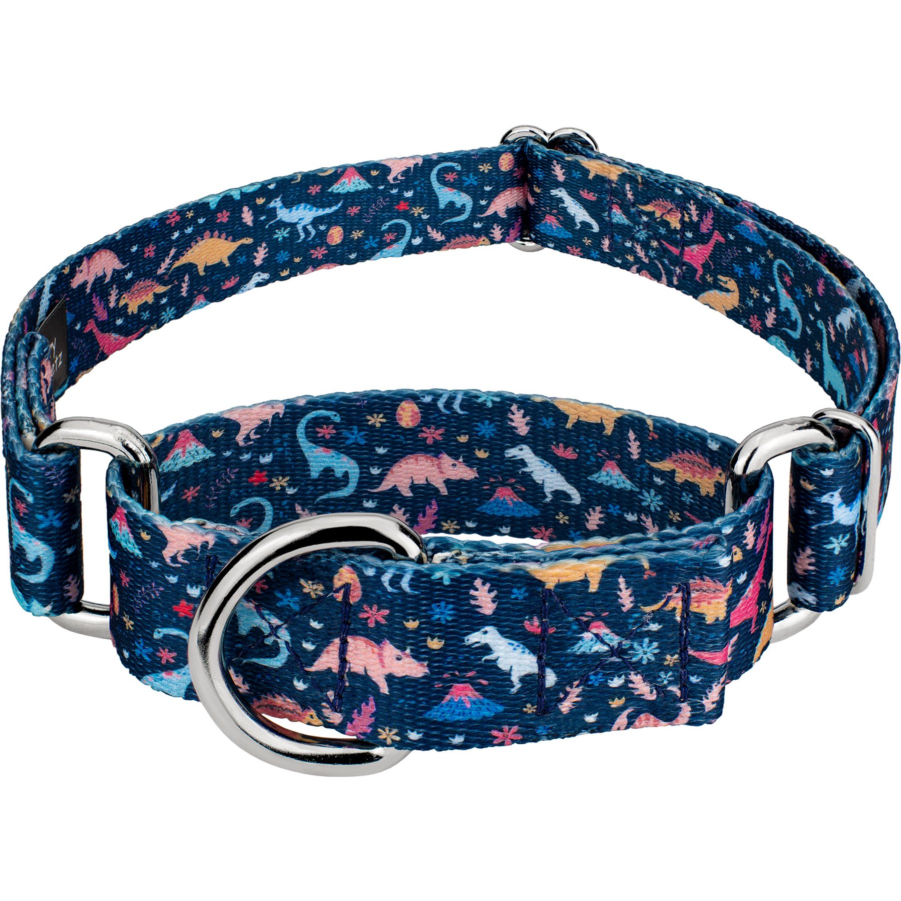 Country Brook Petz Dinosaurs Martingale Dog Collar, Blue, Large: 18 to 26-in neck, 1-in wide