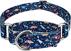 Country Brook Petz Dinosaurs Martingale Dog Collar, Blue, Medium: 15 to 21-in neck, 1-in wide