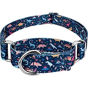 Country Brook Petz Dinosaurs Martingale Dog Collar, Blue, Medium: 15 to 21-in neck, 1-in wide