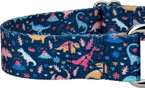 Show full view: Country Brook Petz Dinosaurs Martingale Dog Collar, Blue, Medium: 15 to 21-in neck, 1-in wide slide 7 of 7