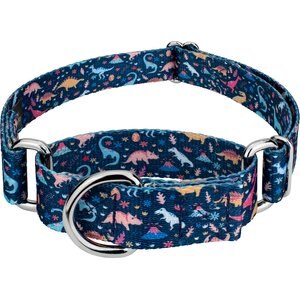 Country Brook Petz Dinosaurs Martingale Dog Collar, Blue, Small: 11 to 15-in neck, 5/8-in wide