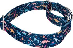 Country Brook Petz Dinosaurs Martingale Dog Collar, Blue, X-Large: 23 to 31-in neck, 1-in wide slide 2 of 6