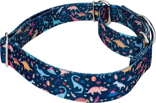 Show full view: Country Brook Petz Dinosaurs Martingale Dog Collar, Blue, X-Large: 23 to 31-in neck, 1-in wide slide 5 of 6