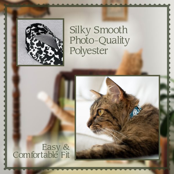 Show full view: Country Brook Petz Farm Life Y'all Breakaway Cat Collar, Green, 8 to 12-in neck, 1/2-in wide slide 3 of 4