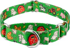 Country Brook Petz Farm Life Y'all Martingale Dog Collar, Green, Large: 18 to 26-in neck, 1-in wide