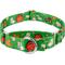 Show in main carousel: Country Brook Petz Farm Life Y'all Martingale Dog Collar, Green, X-Large: 23 to 31-in neck, 1-in wide slide 1 of 7