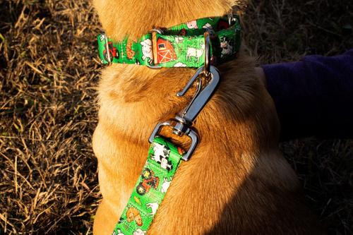 Show full view: Country Brook Petz Farm Life Y'all Martingale Dog Collar, Green, XX-Small: 7 to 10-in, 1/2-in wide slide 2 of 6