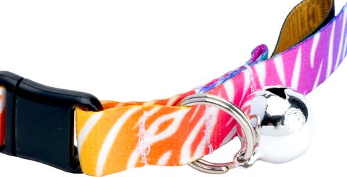 Show full view: Country Brook Petz Fashion Zebra Breakaway Cat Collar, Multi-Colored, 8 to 12-in neck, 1/2-in wide slide 8 of 9