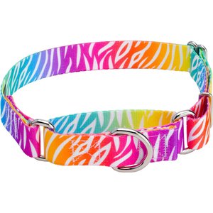 Country Brook Petz Fashion Zebra Polyester Martingale Dog Collar, Large: 18 to 26-in neck, 1-in wide