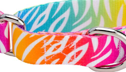 Show full view: Country Brook Petz Fashion Zebra Polyester Martingale Dog Collar, Large: 18 to 26-in neck, 1-in wide slide 6 of 7