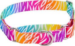 Country Brook Petz Fashion Zebra Polyester Martingale Dog Collar, Medium: 15 to 21-in neck, 1-in wide