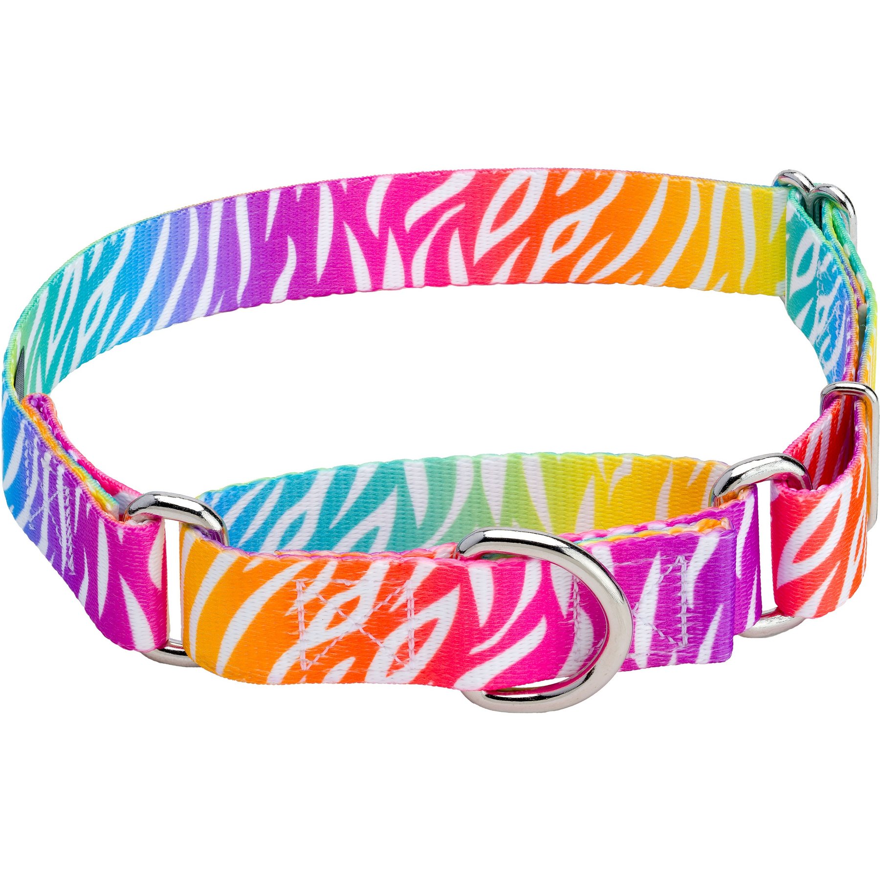 Country Brook Petz Fashion Zebra Polyester Martingale Dog Collar, X-Small: 9 to 12-in neck, 1/2-in wide