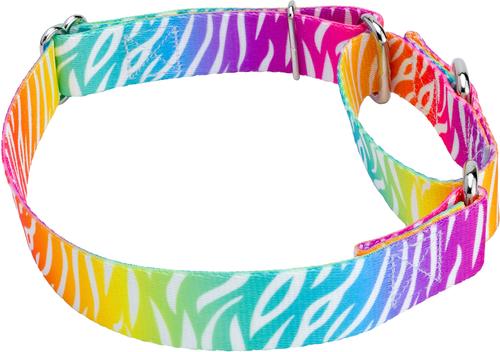 Show full view: Country Brook Petz Fashion Zebra Polyester Martingale Dog Collar, XX-Small: 7 to 10-in neck, 1/2-in wide slide 5 of 7
