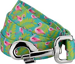 Country Brook Petz Flamingos Dog Leash, Teal, Large: 6-ft long, 1-in wide