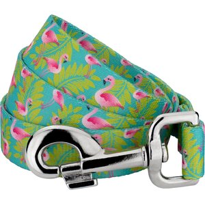 Country Brook Petz Flamingos Dog Leash, Teal, Large: 6-ft long, 1-in wide