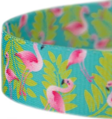 Show full view: Country Brook Petz Flamingos Dog Leash, Teal, Large: 6-ft long, 1-in wide slide 4 of 5