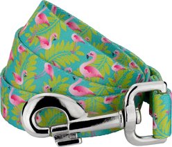 Country Brook Petz Flamingos Dog Leash, Teal, Medium: 6-ft long, 5/8-in wide