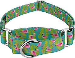 Country Brook Petz Flamingos Martingale Dog Collar, Teal, Medium: 15 to 21-in neck, 1-in wide