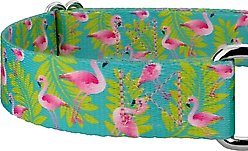 Country Brook Petz Flamingos Martingale Dog Collar, Teal, Medium: 15 to 21-in neck, 1-in wide slide 2 of 7