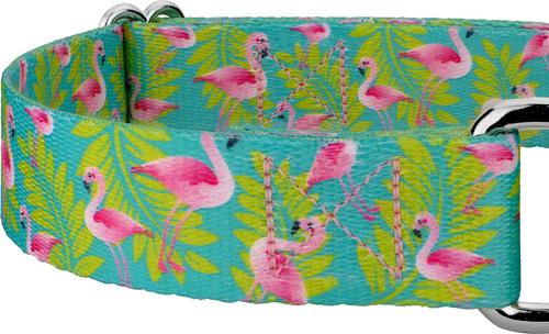 Show full view: Country Brook Petz Flamingos Martingale Dog Collar, Teal, Medium: 15 to 21-in neck, 1-in wide slide 7 of 8