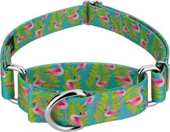 Country Brook Petz Flamingos Martingale Dog Collar, Teal, Small: 11 to 15-in neck, 5/8-in wide