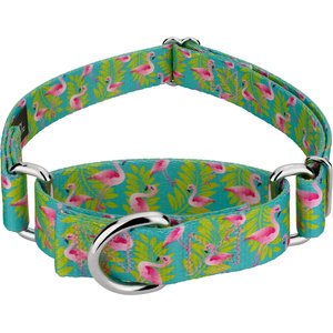 Country Brook Petz Flamingos Martingale Dog Collar, Teal, Small: 11 to 15-in neck, 5/8-in wide