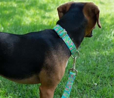 Show full view: Country Brook Petz Flamingos Martingale Dog Collar, Teal, X-Large: 23 to 31-in neck, 1-in wide slide 2 of 8
