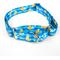 Show in main carousel: Country Brook Petz Just Ducky Martingale Dog Collar, Blue, Medium: 15 to 21-in neck, 1-in wide slide 1 of 5