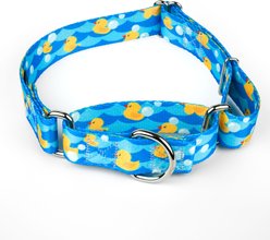 Country Brook Petz Just Ducky Martingale Dog Collar, Blue, XX-Small: 7 to 10-in, 1/2-in wide