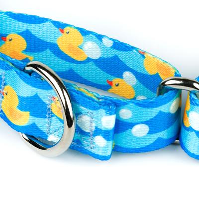Show full view: Country Brook Petz Just Ducky Martingale Dog Collar, Blue, XX-Small: 7 to 10-in, 1/2-in wide slide 5 of 5