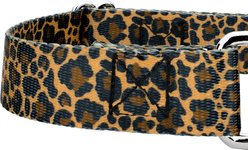 Country Brook Petz Leopard Print Polyester Martingale Dog Collar, Brown, Medium: 15 to 21-in neck, 1-in wide slide 2 of 5