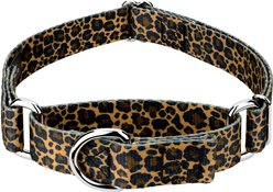Country Brook Petz Leopard Print Polyester Martingale Dog Collar, Brown, X-Small: 9 to 12-in neck, 1/2-in wide