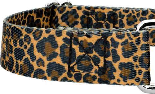 Show full view: Country Brook Petz Leopard Print Polyester Martingale Dog Collar, Brown, X-Small: 9 to 12-in neck, 1/2-in wide slide 6 of 6